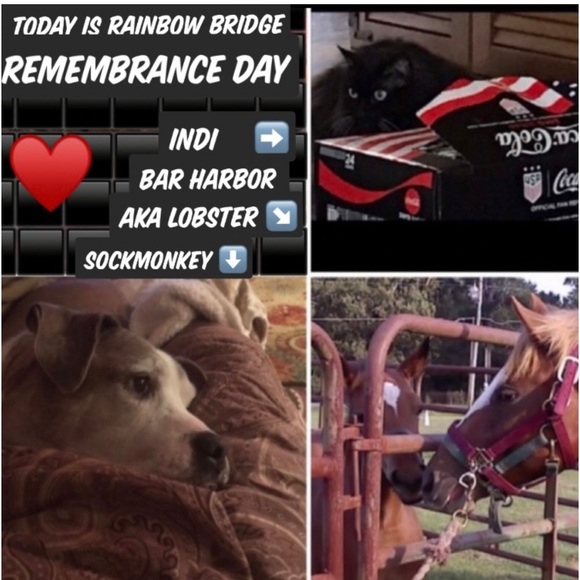 FOLLOW THE JONESES TO 400K! - Picture 3 of 16